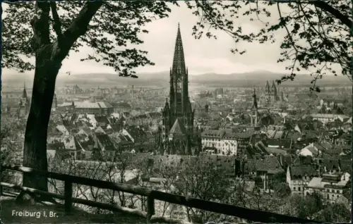 Ansichtskarte Freiburg im Breisgau Blick über die Stadt 1955
