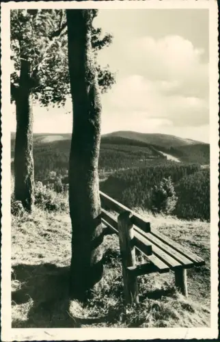Ansichtskarte Sankt Andreasberg-Braunlage Auf dem Galgenberg 1956