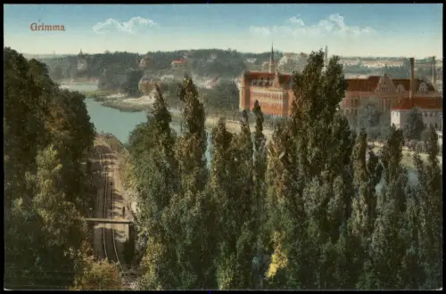 Ansichtskarte Grimma Bahnstrecke Stadt 1915