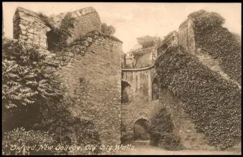 Postcard Oxford New College, Old City Walls 1920