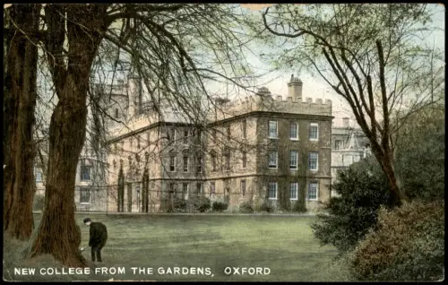 Postcard Oxford NEW COLLEGE FROM THE GARDENS 1910