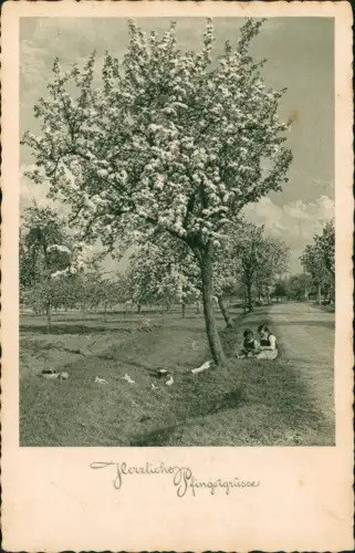 Ansichtskarte  Pfingsten Gruss-AK 1940     Feldpost gelaufen Stempel KOMOTAU