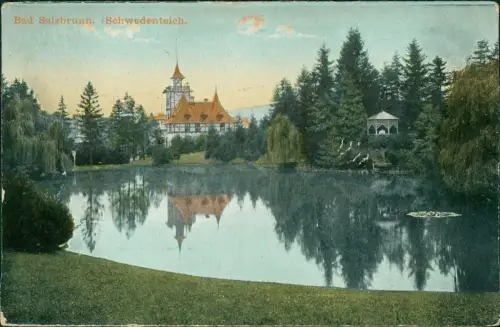 Postcard Bad Salzbrunn Szczawno-Zdrój Schwedenteich Park Häuser 1915