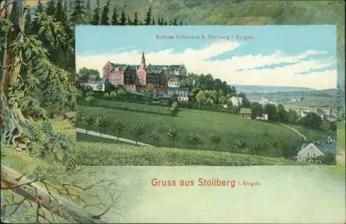 Ansichtskarte Stollberg (Erzgebirge) Schloss Waldgestaltung 1909 Passepartout