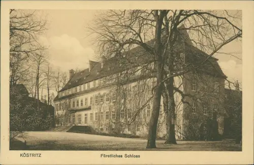 Ansichtskarte Bad Köstritz Partie am fürstlichen Schloss - Rückseite 1918