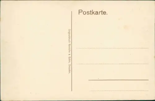 Ansichtskarte Triptis Markt mit Rathaus 1912