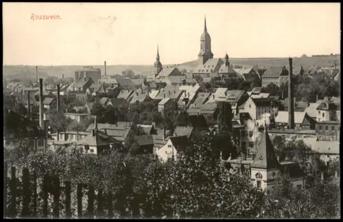 Ansichtskarte Roßwein Stadtpartie vom Hang 1915