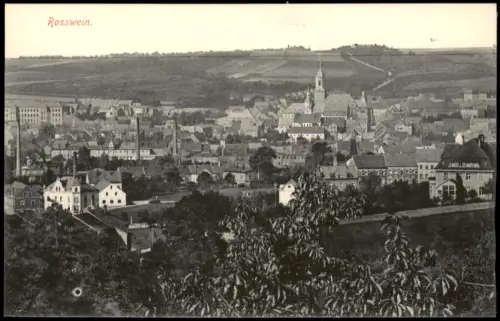 Ansichtskarte Roßwein Stadtpartie 1915