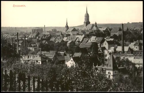 Ansichtskarte Roßwein Stadtpartie vom Hang 1915