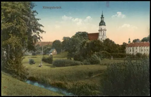 Ansichtskarte Königsbrück Kinspork Partie an der Stadt Fluss 1915