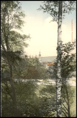 Ansichtskarte Rochlitz Blick von der Junkerberg - Promenade 1909