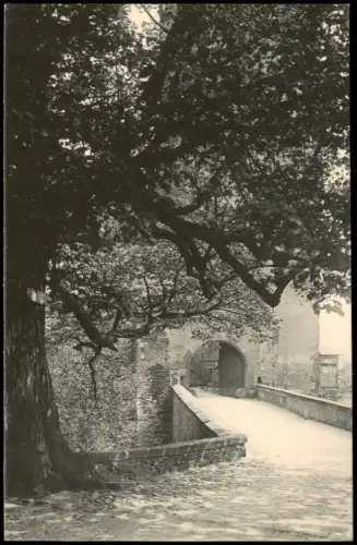 Ansichtskarte Rochlitz Eingang zum Schloß. 1909