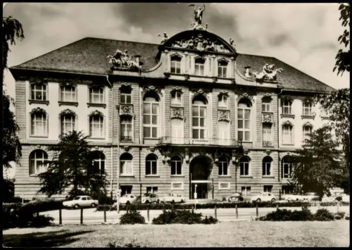 Ansichtskarte Frankfurt am Main Naturmuseum Senckenberg 1960