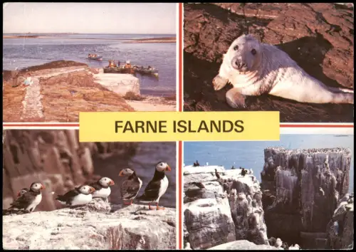 Farne-Inseln Farne Islands - Mehrbildansicht mit Wildtieren und Küste 1990
