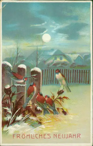 Ansichtskarte  Neujahr Sylvester New Year Vögel im Garten 1913 Prägekarte