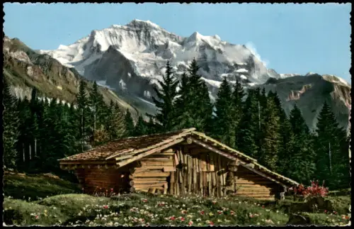 Grindelwald Die Jungfrau (4166 m), Holzhütte Schweizer Alpen 1965