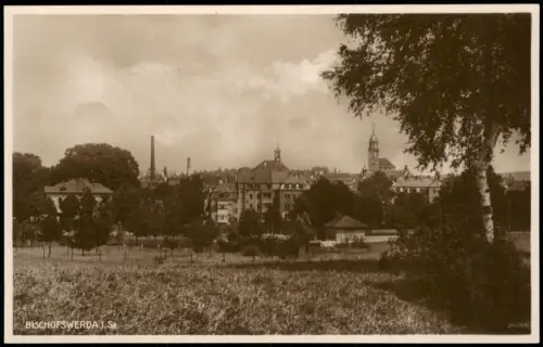 Ansichtskarte Bischofswerda Stadt Fabrikschlote 1927