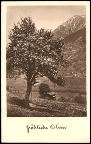 Ansichtskarte  Ostern Easter Oster-Grusskarte aus Österreich 1950    Stempel