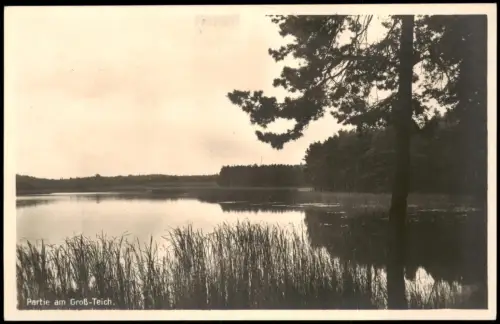 Ansichtskarte Weinböhla Partie am Groß-Teich. 1927