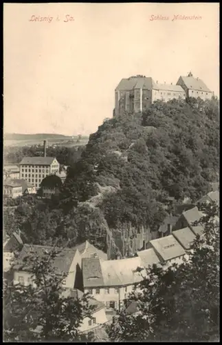 Ansichtskarte Leisnig Schloss Mildenstein Stadt 1908