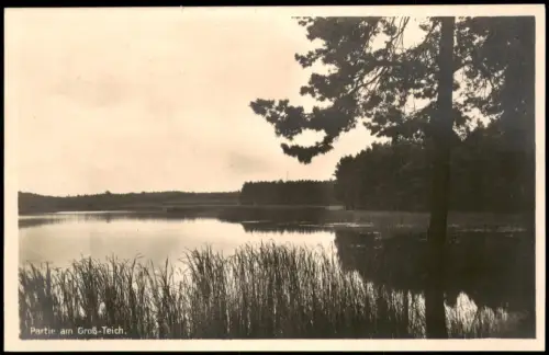Ansichtskarte Weinböhla Partie am Groß-Teich. 1927