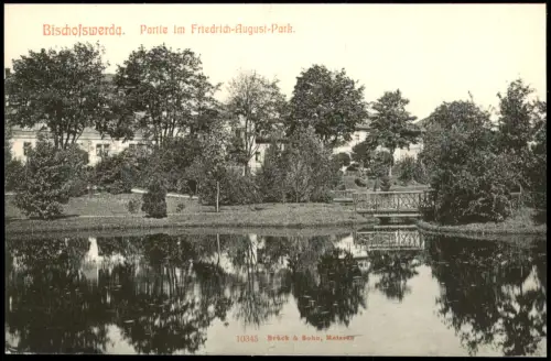 Ansichtskarte Bischofswerda Partie im Friedrich-August-Park. 1912