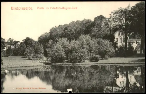 Ansichtskarte Bischofswerda Partie im Friedrich-August-Park. 1913