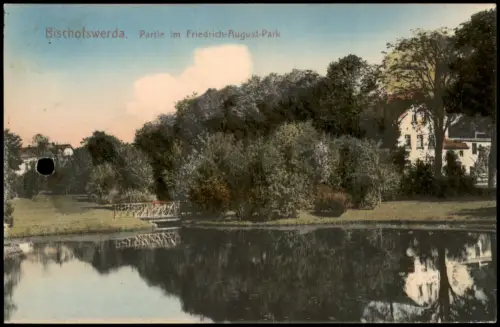 Ansichtskarte Bischofswerda Partie im Friedrich-August-Park. Haus Brücke 1908