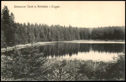 Ansichtskarte Rehefeld-Zaunhaus-Altenberg (Erzgebirge) Schwarzer Teich 1911