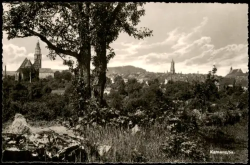 Ansichtskarte Kamenz Kamjenc Baum auf Anhöhe - Stadt 1961