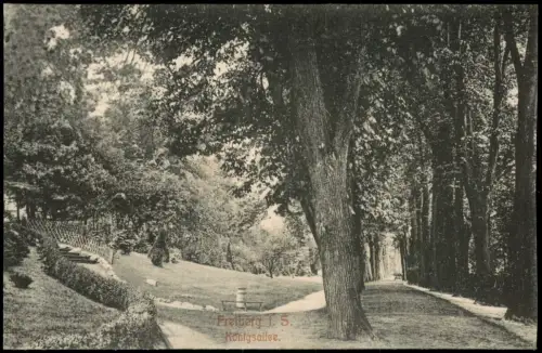 Ansichtskarte Freiberg (Sachsen) Königsallee 1908