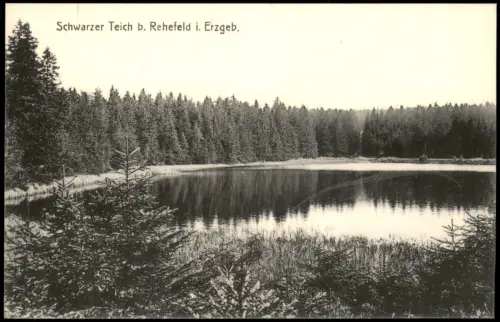 Ansichtskarte Rehefeld-Altenberg (Erzgebirge) Schwarzer Teich Erzgebirge 1913