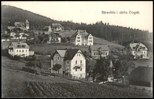 Bärenfels (Erzgebirge)-Altenberg (Erzgebirge) Stadtpartie am Hang 1912