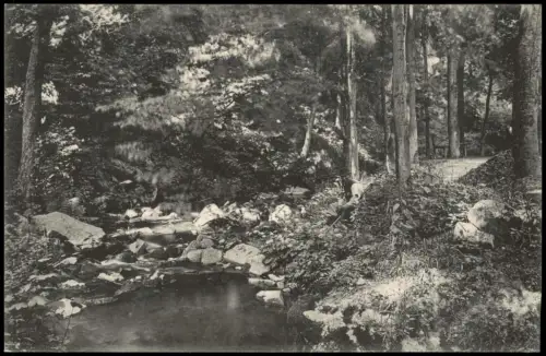 Ansichtskarte Höckendorf-Klingenberg (Sachsen) Partie im Wald 1909