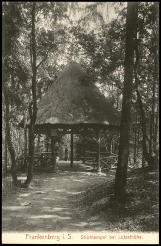 Ansichtskarte Frankenberg (Sachsen) Strohtempel bei Lützelhöhe. 1913