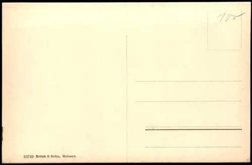 Ansichtskarte Rochlitz Fernblick auf die Stadt 1909
