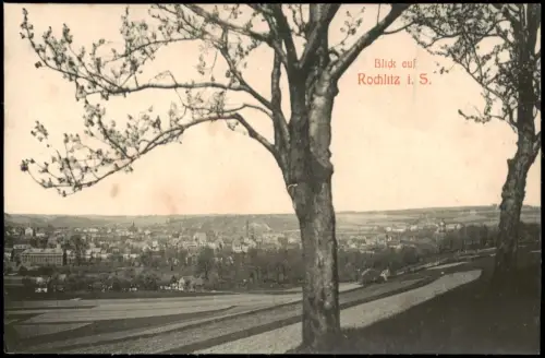 Ansichtskarte Rochlitz Bäume Stadtblick 1909