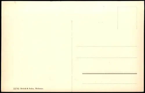 Ansichtskarte Rochlitz Fernblick - Totale 1909