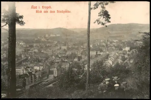 Ansichtskarte Aue (Erzgebirge) Blick aus dem Stadtparke. 1909