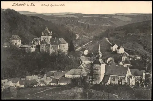 Ansichtskarte Liebstadt Schloß Kuckuckstein und Stadt 1909
