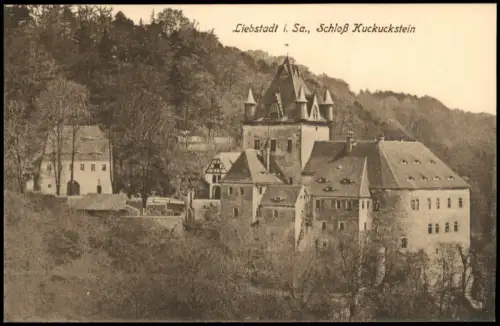 Ansichtskarte Liebstadt Schloß Kuckuckstein 1914