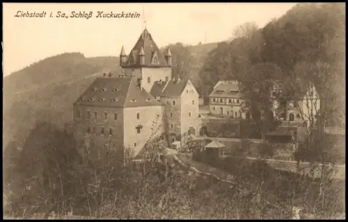 Ansichtskarte Liebstadt Blick auf Schloß Kuckuckstein 1910