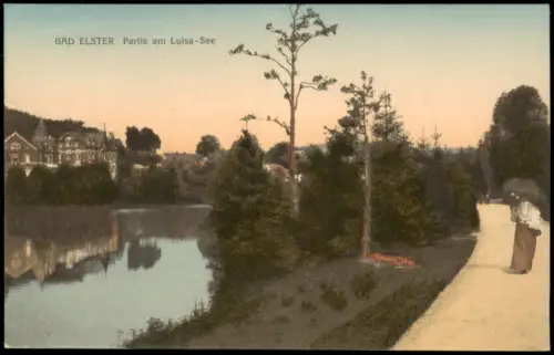 Ansichtskarte Bad Elster Partie am Luisa - See 1909