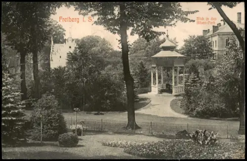 Ansichtskarte Freiberg (Sachsen) Albertpark Pavillon 1909