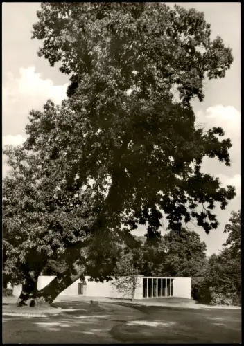 Ansichtskarte Othmarschen-Hamburg Ernst Barlach Haus im Jenischpark 1965