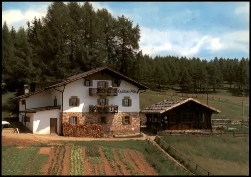 Cartolina Vöran Verano Leadner Alm bei Vöran 1980