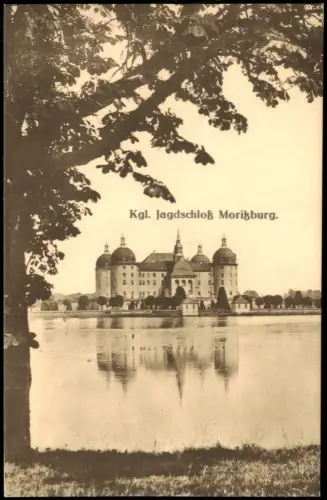 Ansichtskarte Moritzburg Kastanie Kgl. Jagdschloss 1912