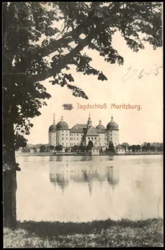 Ansichtskarte Moritzburg Kastanienbaum Kgl. Jagdschloss 1912