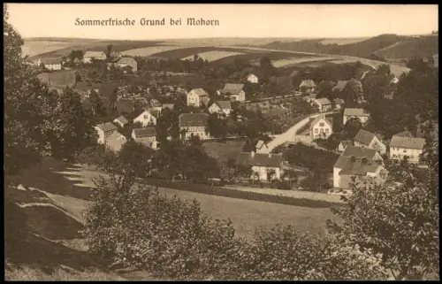 Ansichtskarte Grund-Wilsdruff Stadt b. Mohorn 1928