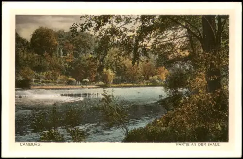 Ansichtskarte Dornburg-Dornburg-Camburg Partie an der Saale 1924